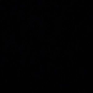 Meet your Posher, Junior